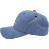 Best Auntie Ever Hat Funny Gift Cap for Aunts(Blue – Best Auntie)