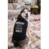 Funny Dog Shirt – Innocent Until Proven Guilty Graphic Tee – Lightweight Cotton Pet Apparel for Puppies – Sarcastic Dog Outfit Holiday or Everyday Wear Black, S(L)