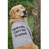 Funny Dog Shirt – Squirrels Cant Be Trusted Graphic Tee – Lightweight Cotton Pet Apparel – Cute Outdoor Puppy Shirt for Small Medium Large Dogs Grey, M(X-Large)