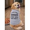 Funny Dog Shirt for Small Medium Large XXL Dogs – Im Into Fitness Fitness Bacon in My Mouth Print – Lightweight Cotton Tee for Pets Summer Wear or Gifts Grey, XXL(Small)