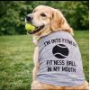 Im Into Fitness Ball in My Mouth Dog Shirt – Funny Pet T-Shirt Lightweight Soft Cotton Tee for Dogs Small Medium Large Breeds – Cute Print Girl or Boy Puppy Gift for Summer Wear Grey, XXL(Large)
