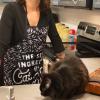 The Secret Ingredient is Cat Hair Funny Pet Kitten Animal Lover Graphic Kitchen Accessories Funny Graphic Kitchenwear Cool Cat Novelty Cookware Black Oven Mitt(Apron)