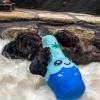 UFO and Aliens Dog Toy Funny Flying Saucer Stuffed Chew Toy with Hidden Treat Holes and Removable Aliens – Rip and Reveal Interactive Chew(Leaf and Pipe)