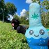 UFO and Aliens Dog Toy Funny Flying Saucer Stuffed Chew Toy with Hidden Treat Holes and Removable Aliens – Rip and Reveal Interactive Chew(Pipe)