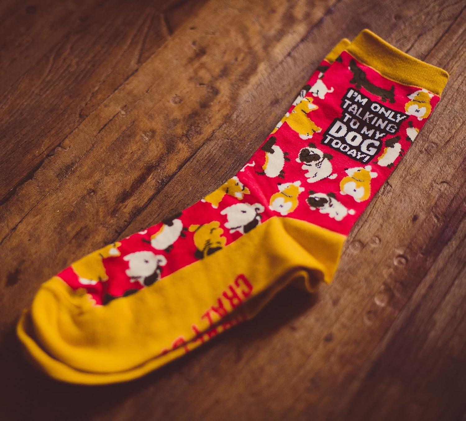 imageWomens Im Only Talking to My Dog Today Socks Funny Pet Mom Novelty Footwear