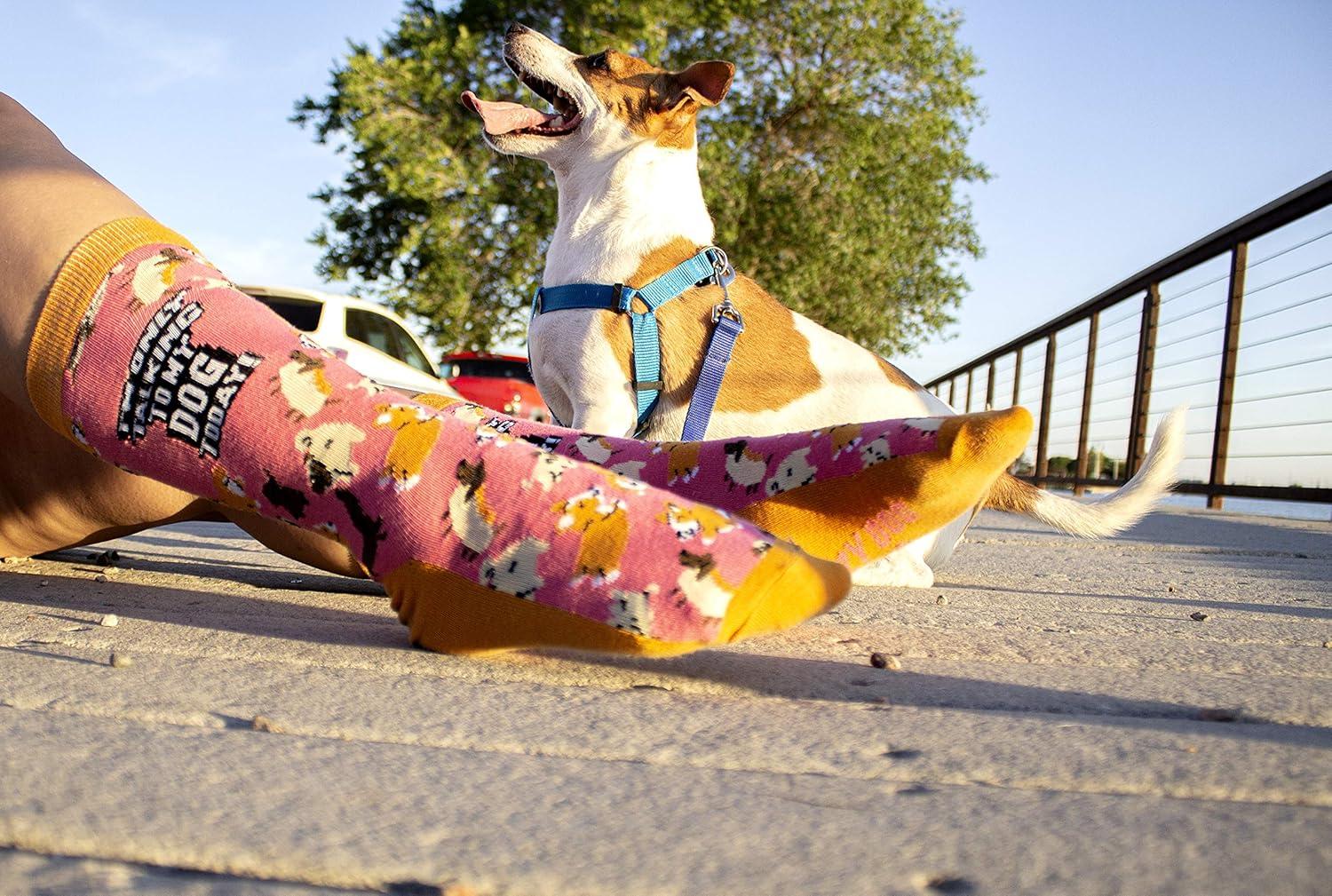 imageWomens Im Only Talking to My Dog Today Socks Funny Pet Mom Novelty Footwear