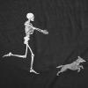Funny Skeleton T Shirts for Women – Humerus Tees with Bone Tingling Jokes for Ladies(Heather Black – Skeleton Dog)