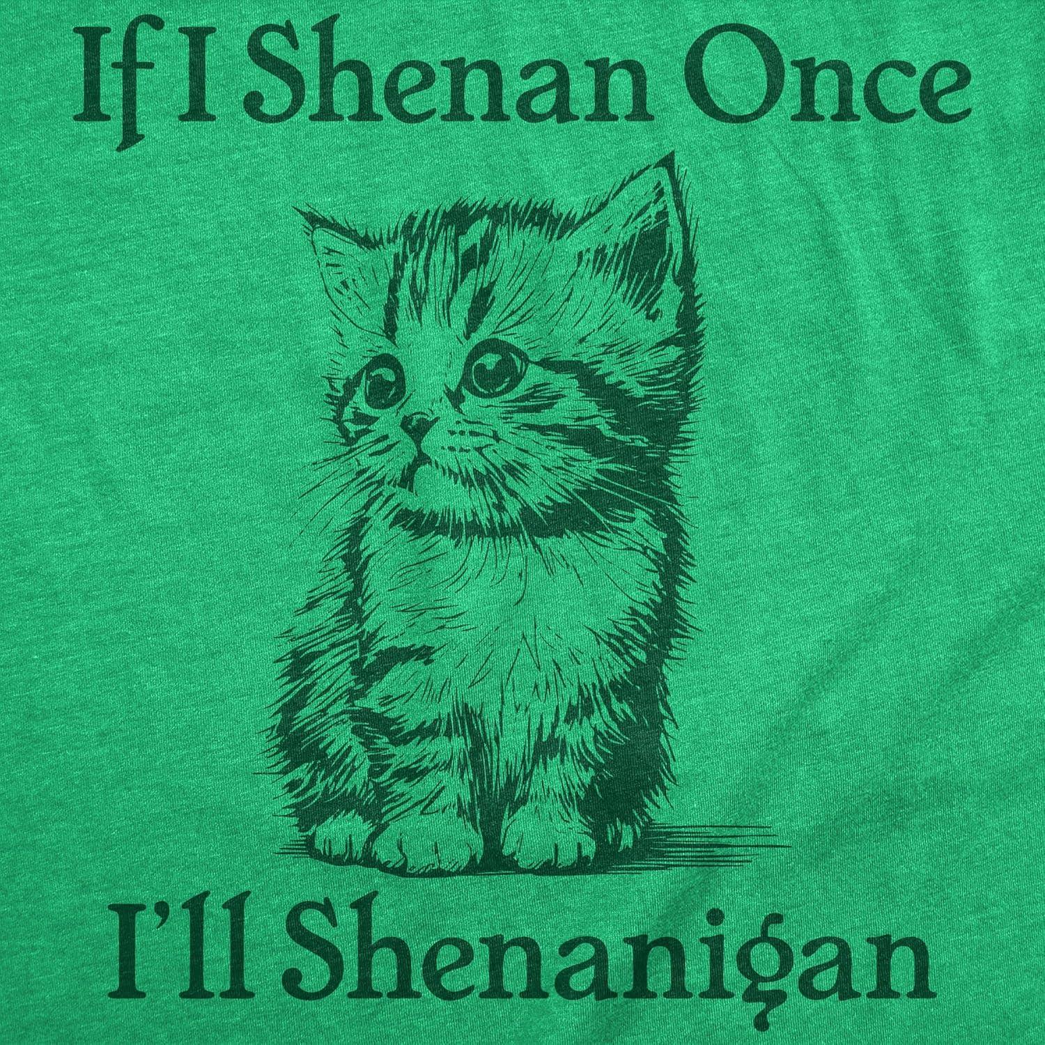 imageMens Funny T Shirts If I Shenan Once Ill Shenangian Sarcastic St Patricks Day Tee for Men