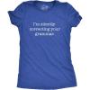 Womens Silently Correcting Your Grammar Funny T Shirt Nerdy Sarcastic Novelty Tee(Heather Heather Royal)