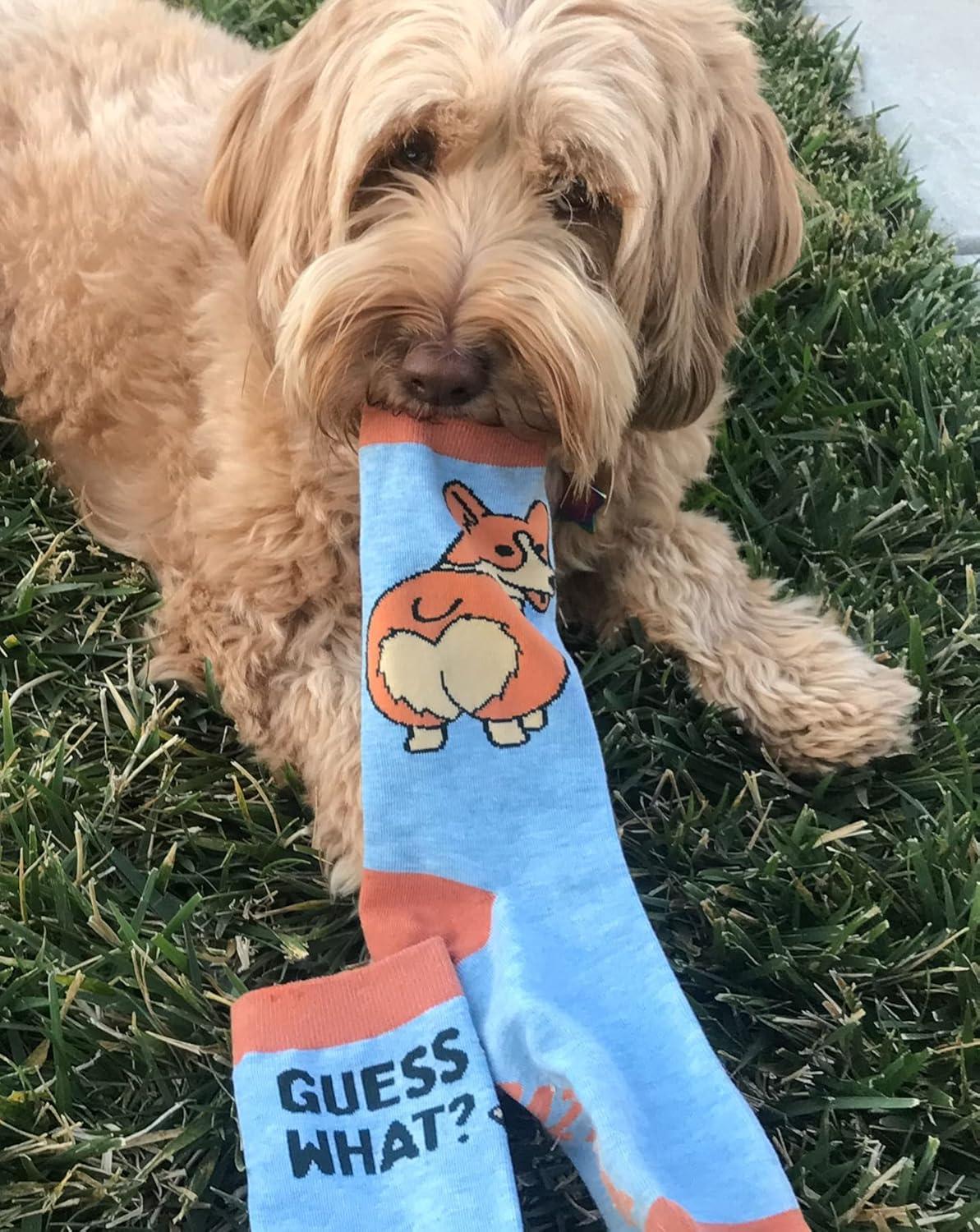 imageFunny Dog Lover Crew Socks for Women Cute Guess What Corgi Butt Print Novelty Gift for Pet Owners amp Dog Moms