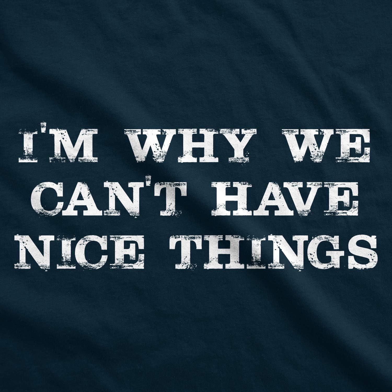 imageIm Why We Cant Have Nice Things T Shirt Funny Sarcastic Humor QuoteNavy