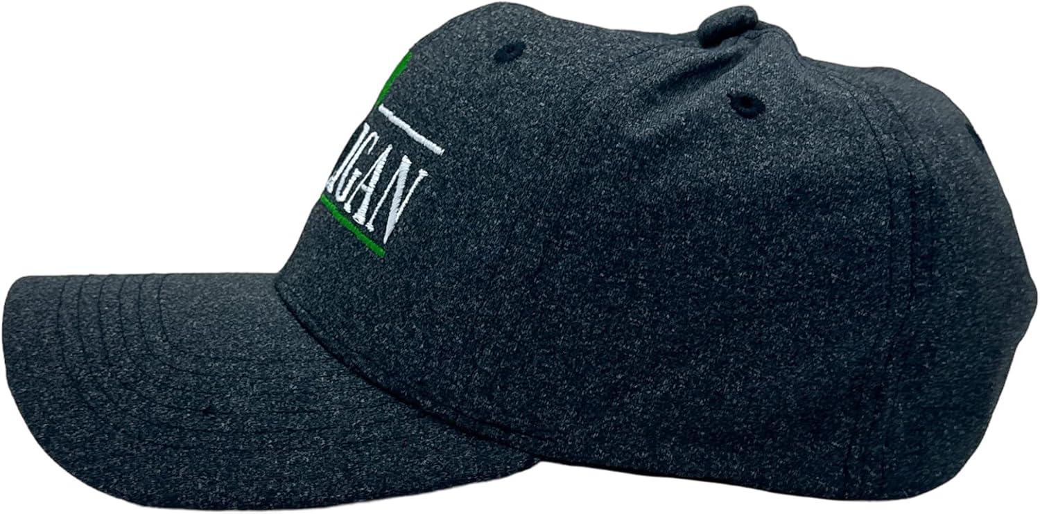 imageFunny St Patricks Day Hats Hilarous Novelty Graphic CapsBlack Hooligan