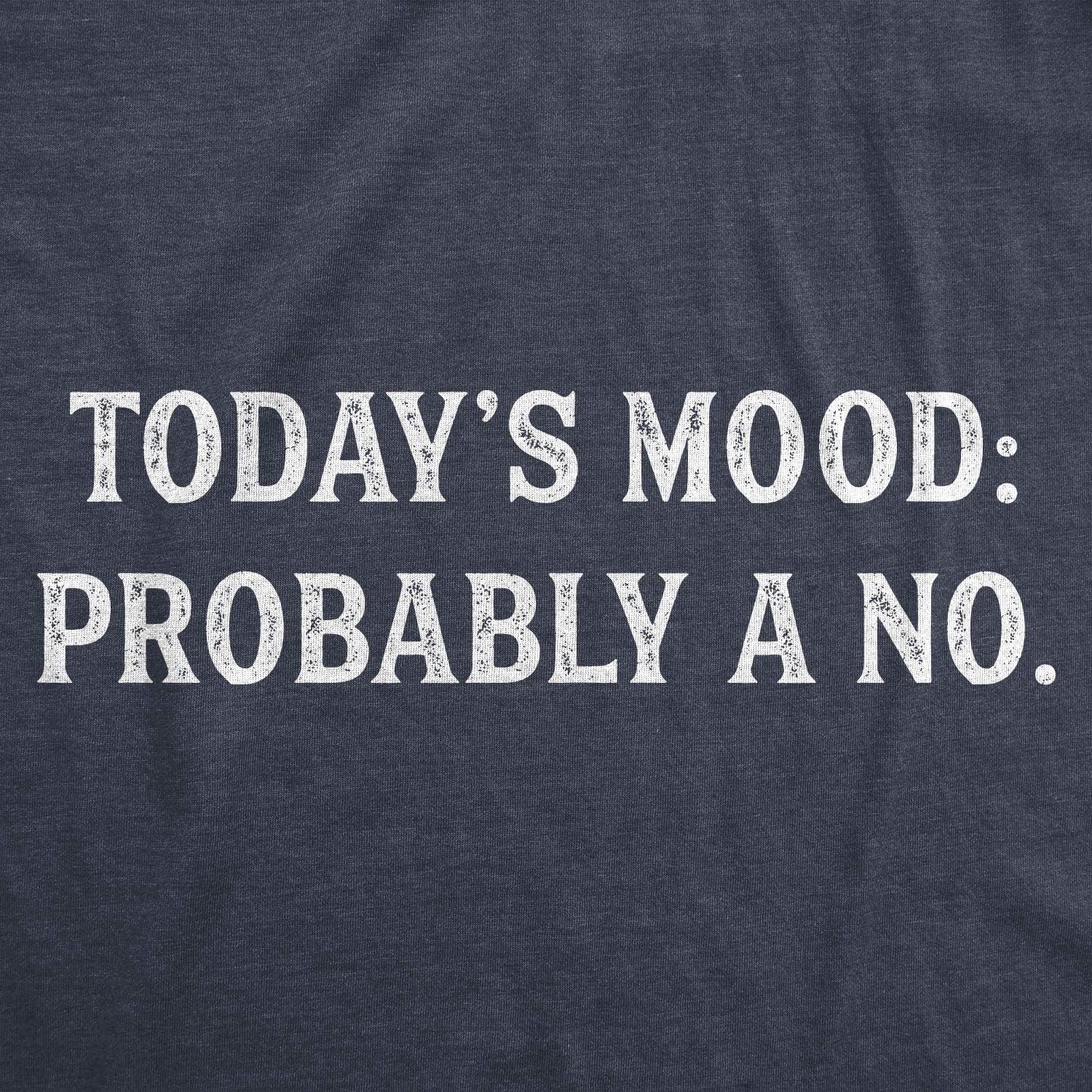 imageMens Todays Mood Probably A No T Shirt Funny Sarcastic Bad Day Tee