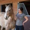 Womens Caberneigh T Shirt Funny Horse Lover Wine Sarcastic Party Novelty Tee(Dark Heather Grey)