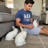 Mens Easily Distracted By Bunnies T Shirt Funny Rabbit Party Gift for Basket(Heather Royal)