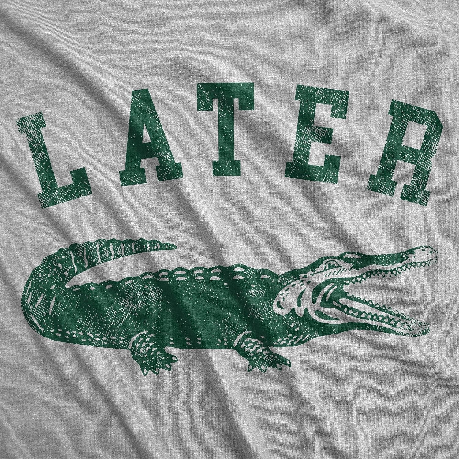 image:imageLater Alligator Unisex Hoodie Funny Sarcastic Gator Joke Graphic Novelty Hooded SweatshirtLight Heather Grey Later Alligator
