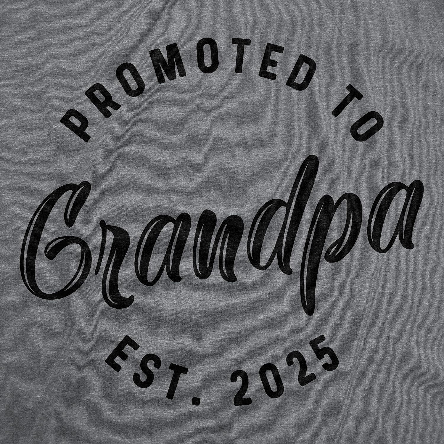 image:imageMens Shirts Promoted to Papa Grandpa or Uncle 2026 Funny Fathers Day Tees Funny T Shirts Dad Joke Apparel for Men Cool Uncle Short Sleeve Soft Cotton Blend Novelty Tees for GuysGrandpa 2025