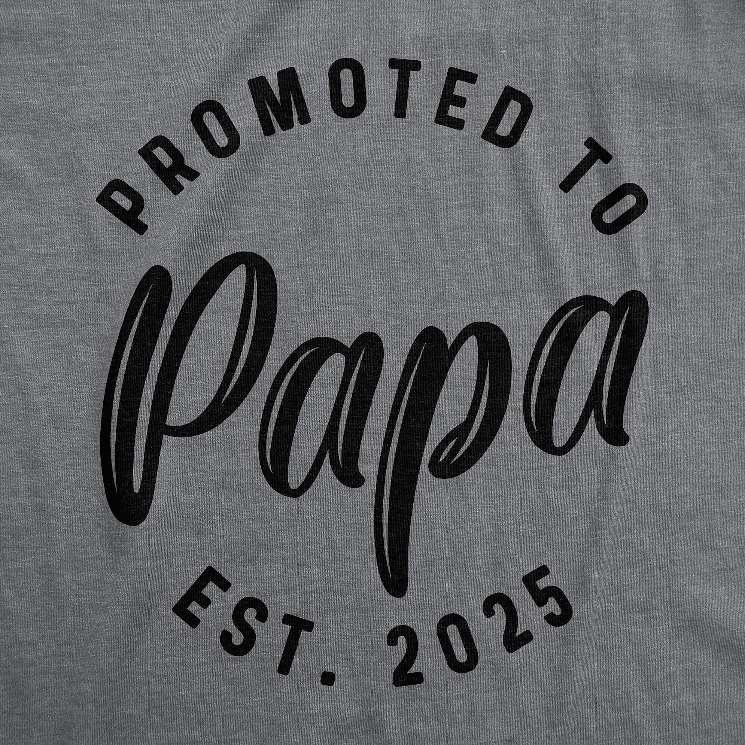 image:imageMens Shirts Promoted to Papa Grandpa or Uncle 2026 Funny Fathers Day Tees Funny T Shirts Dad Joke Apparel for Men Cool Uncle Short Sleeve Soft Cotton Blend Novelty Tees for GuysPapa 2025