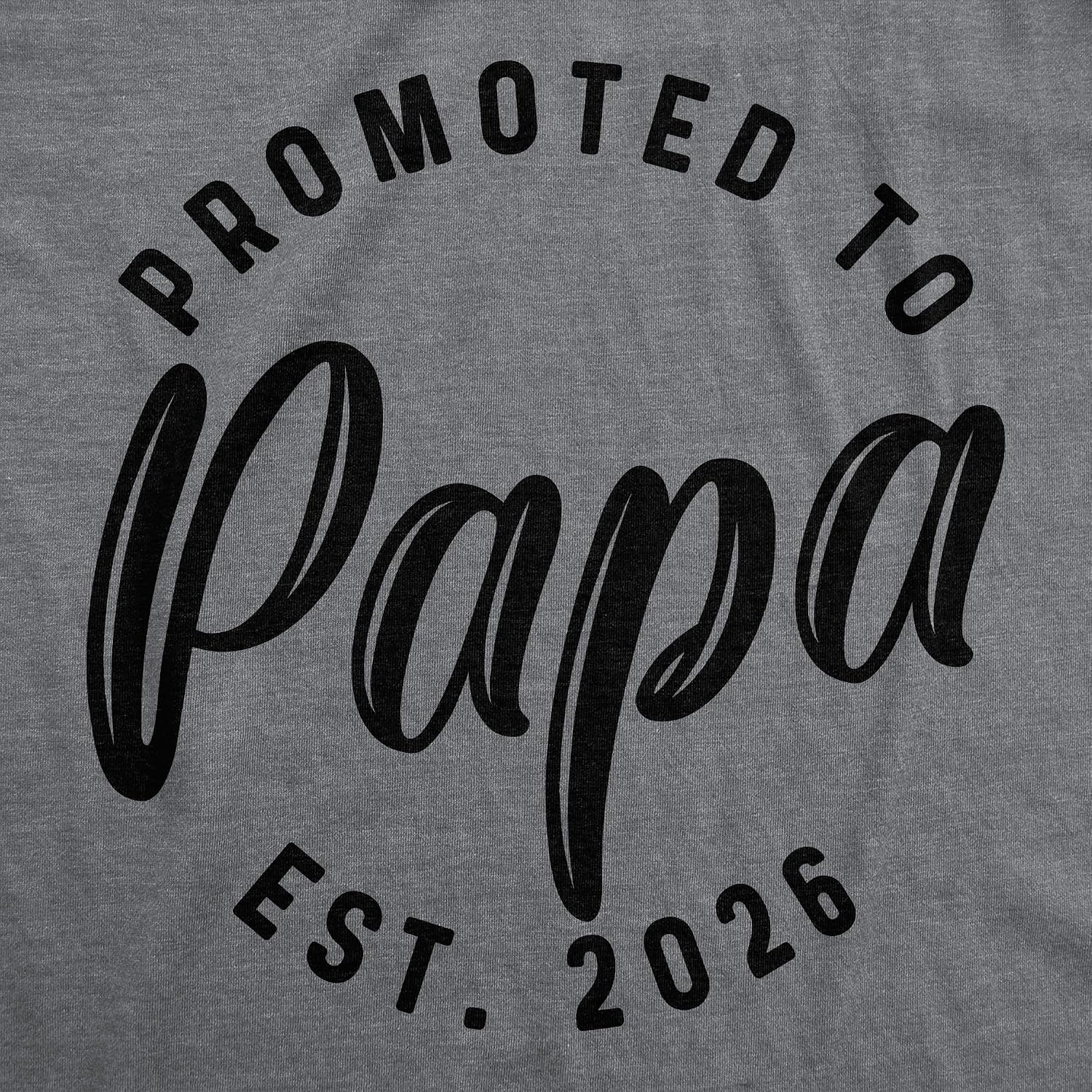 image:imageMens Shirts Promoted to Papa Grandpa or Uncle 2026 Funny Fathers Day Tees Funny T Shirts Dad Joke Apparel for Men Cool Uncle Short Sleeve Soft Cotton Blend Novelty Tees for GuysPapa 2026