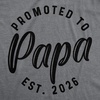 Mens Shirts Promoted to Papa Grandpa or Uncle 2026 Funny Fathers Day Tees | Funny T Shirts, Dad Joke Apparel for Men, Cool Uncle Short Sleeve, Soft Cotton Blend, Novelty Tees for Guys(Papa – 2026)