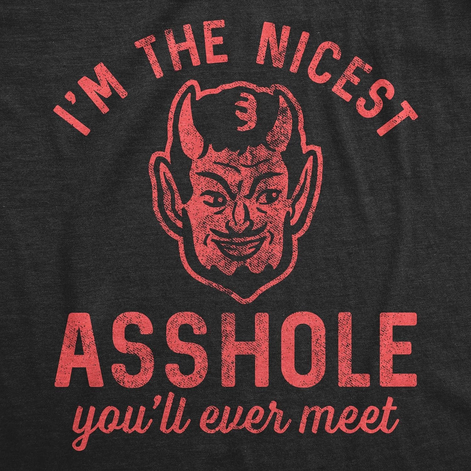image:imageMens Sarcastic Humor T Shirts Funny Graphic Novelty Tees for GuysHeather Black Nicest Ahole