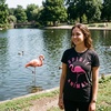 Womens Funny Animal T Shirts Cute and Sarcastic Nature Tees for Women(Heather Black – Flamingo Spirit)