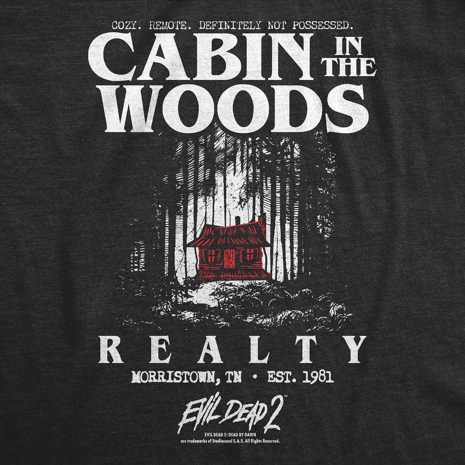 image:imageMens Evil Dead 2 T Shirts Funny Horror Movie Tees for Guys Funny T Shirts Halloween Apparel for Men Cool Movie Short Sleeve Soft Cotton Blend Novelty Tees for GuysHeather Black Cabin Woods Realty