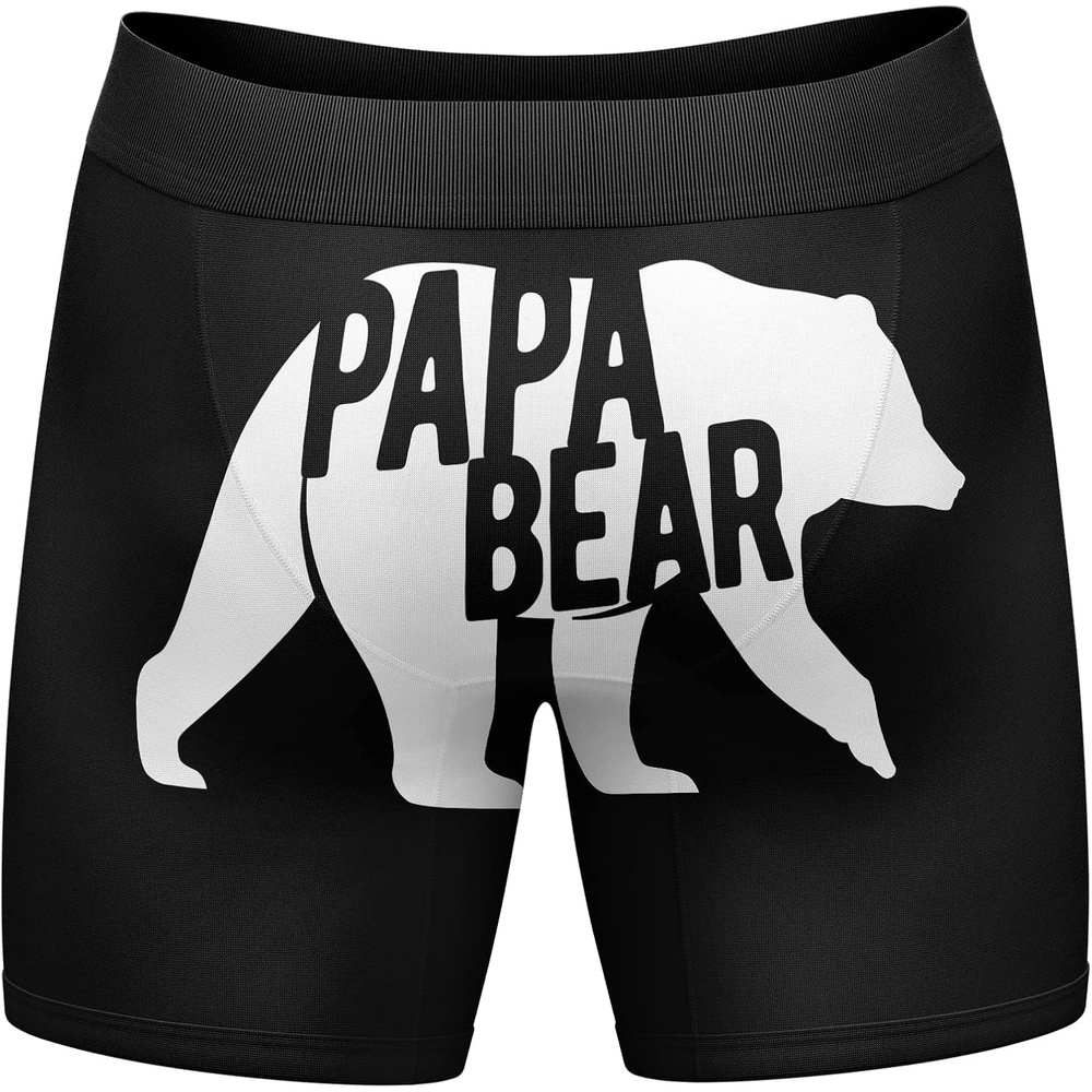 image:imageFunnys Boxers for Dad Fathers Day Briefs Graphic Novelty Underwear for Dad  Funny Graphic Boxers Dad Joke  Cool Dinosaur Soft Stretchy Cotton Blend for Comfort Mens Novelty Boxer BriefsPapa Bear