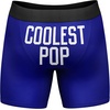 Funnys Boxers for Dad Fathers Day Briefs Graphic Novelty Underwear for Dad | Funny Graphic Boxers, Dad Joke , Cool Dinosaur, Soft Stretchy Cotton Blend for Comfort, Mens Novelty Boxer Briefs(Coolest Pop)