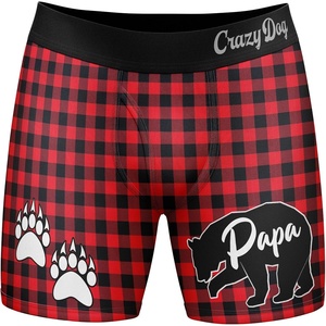 Funnys Boxers for Dad Fathers Day Briefs Graphic Novelty Underwear for Dad | Funny Graphic Boxers, Dad Joke , Cool Dinosaur, Soft Stretchy Cotton Blend for Comfort, Mens Novelty Boxer Briefs(Papa Bear V2)