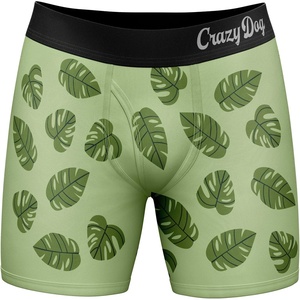 Funnys Boxers for Dad Fathers Day Briefs Graphic Novelty Underwear for Dad | Funny Graphic Boxers, Dad Joke , Cool Dinosaur, Soft Stretchy Cotton Blend for Comfort, Mens Novelty Boxer Briefs(Paapasaurus)