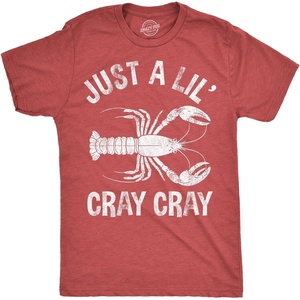 Mens Funny T Shirts Just A Lil Cray Cray Sarcastic Crayfish Graphic Novelty Tee for Men