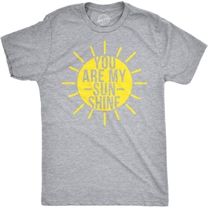 Mens You are My Sunshine T Shirts Funny Summer Tee Cute Adorable Novelty Graphic T Shirt(Light Heather Grey)