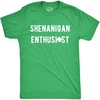 Heather Green - Shenanigan Enthusiast Text