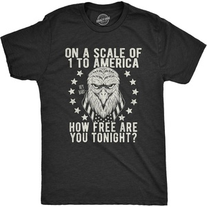 On A Scale of 1 to America How Free are You Funny Shirts for Men(Heather Black)