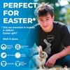Chicks are All Over Me Funny Easter Chicken Egg T Shirts for Men(Dark Heather Grey)