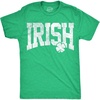 Mens Irish Collegiate T Shirt Funny St Patricks Day Party Tee